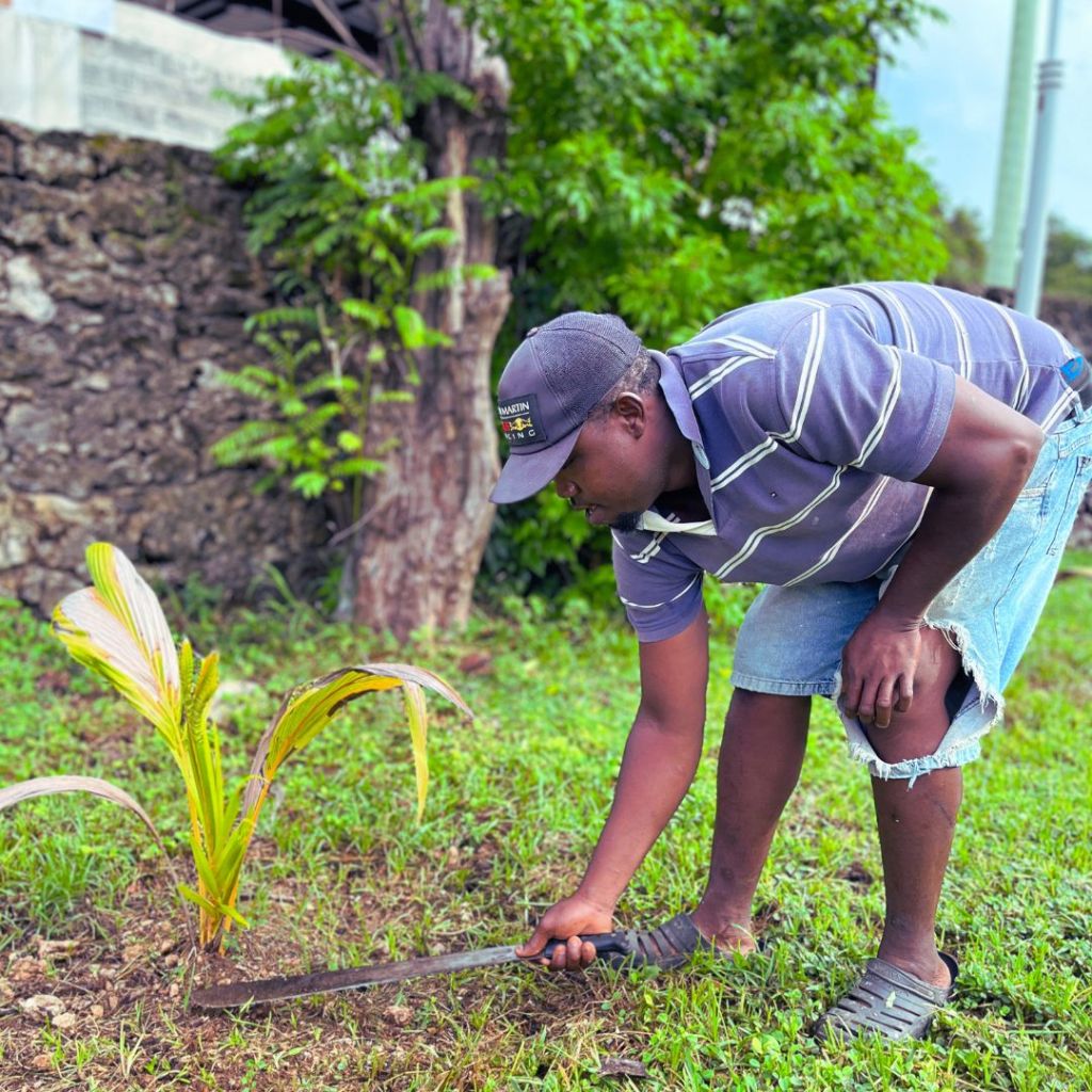 PLANTACION DESARROLLO SOSTENIBLE
